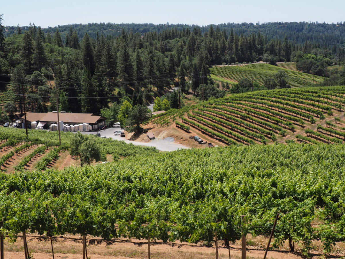 Vineyards sweep across slopes cradling Boeger Winery on Apple Hill outside Placerville.